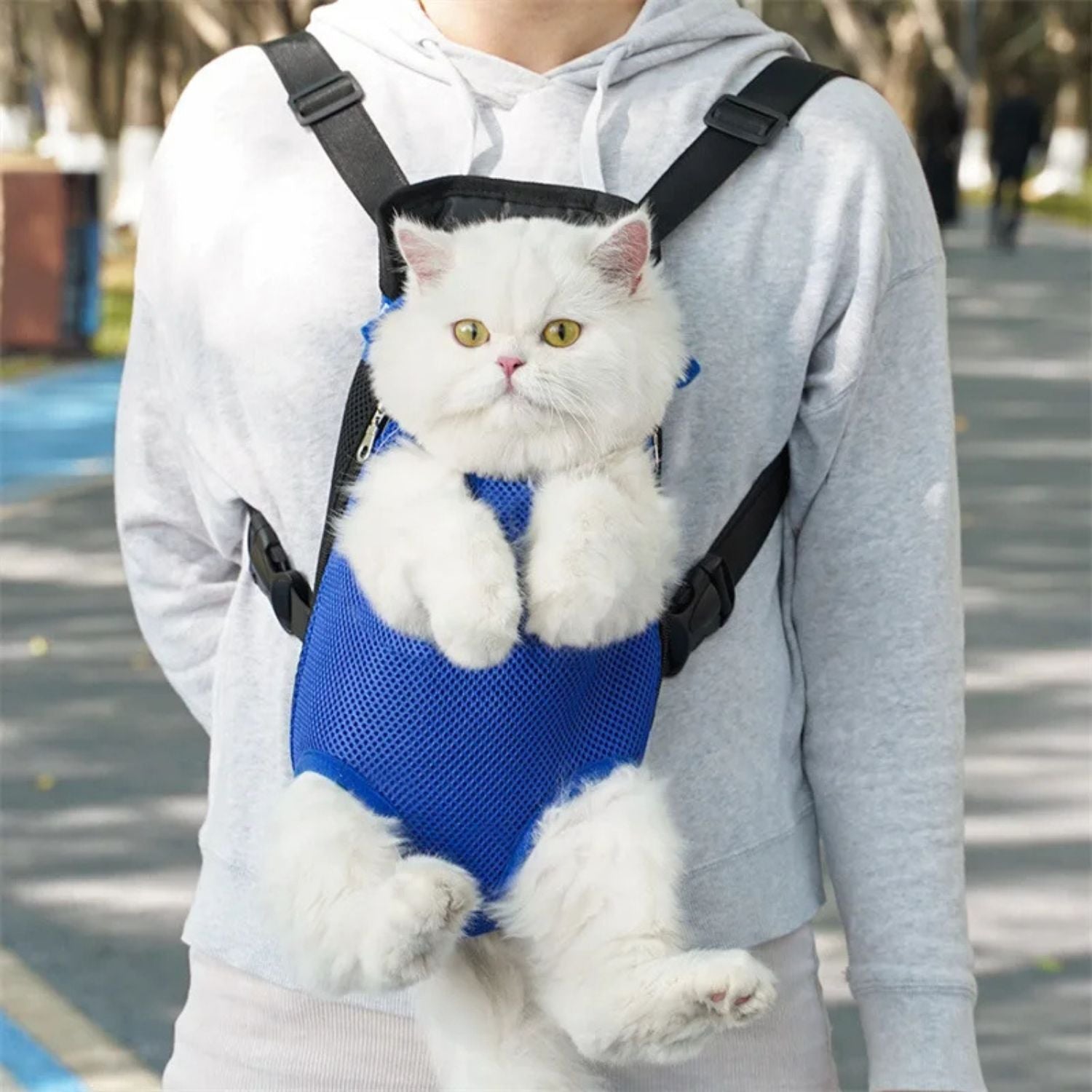 Draagtas voor katten en kleine honden voor een comfortabele reiservaring