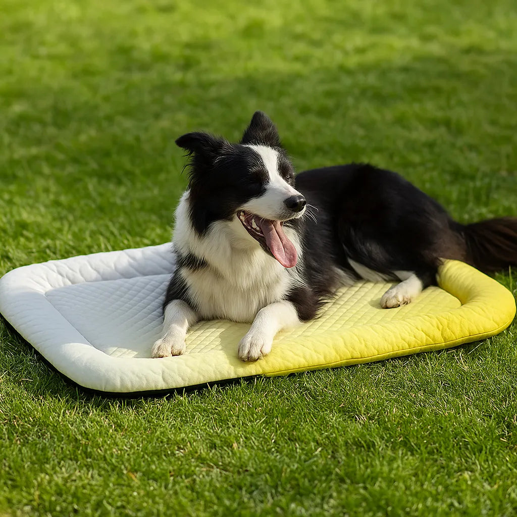 Verfrissend hondenbed met ijssatijn, perfect voor de zomerhitte