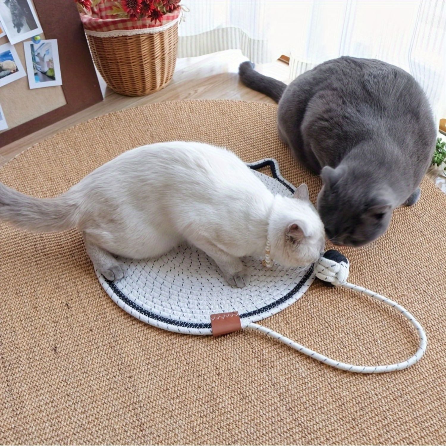Duurzame katoenen krabmat voor katten om plezierig te krabben