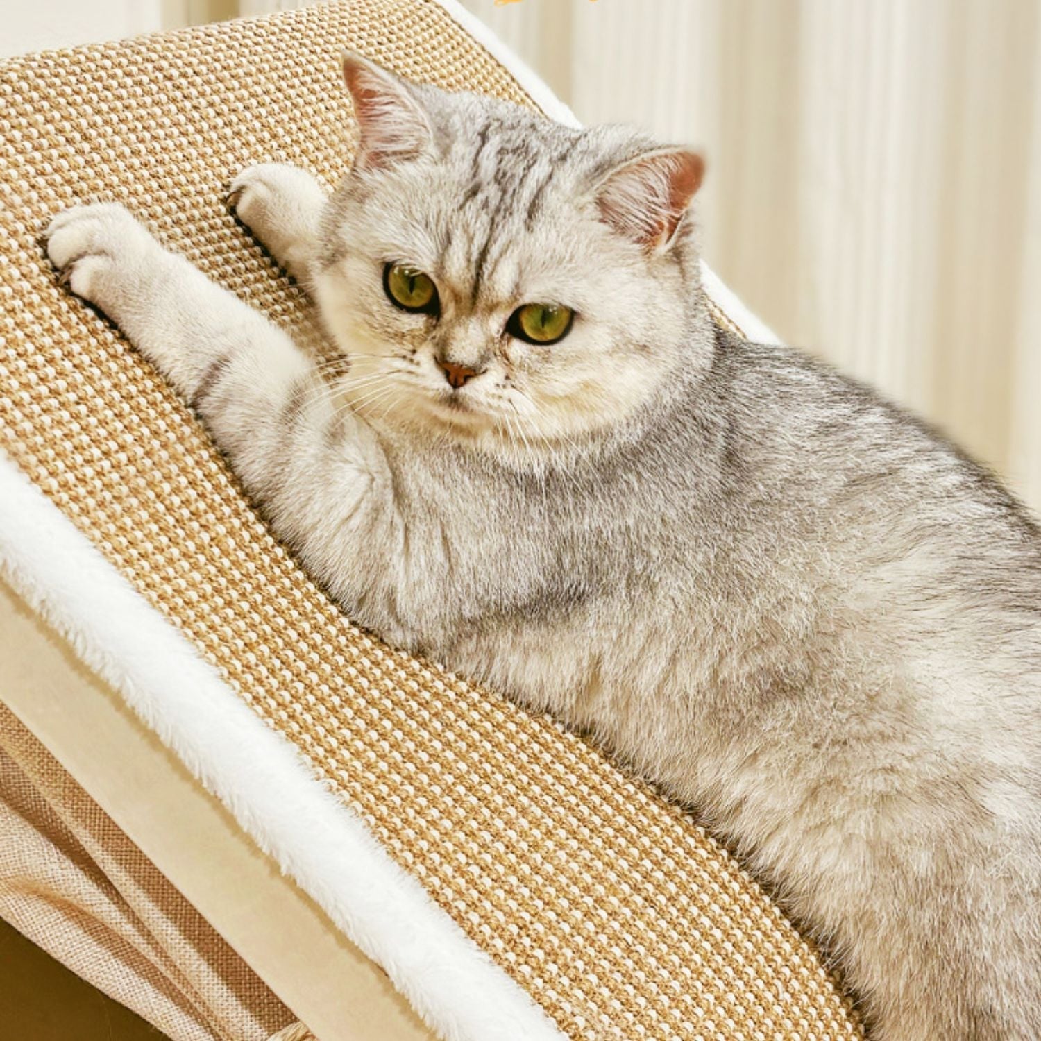 Gezellig kattenhuis met sisal dak voor krabben