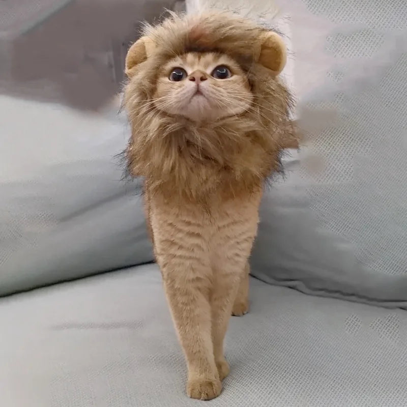 Schattige hoed met leeuwenmanen voor katten en kleine honden als leuk accessoire