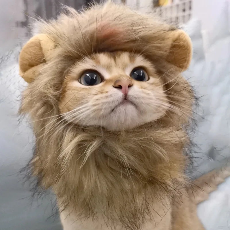 Schattige hoed met leeuwenmanen voor katten en kleine honden als leuk accessoire