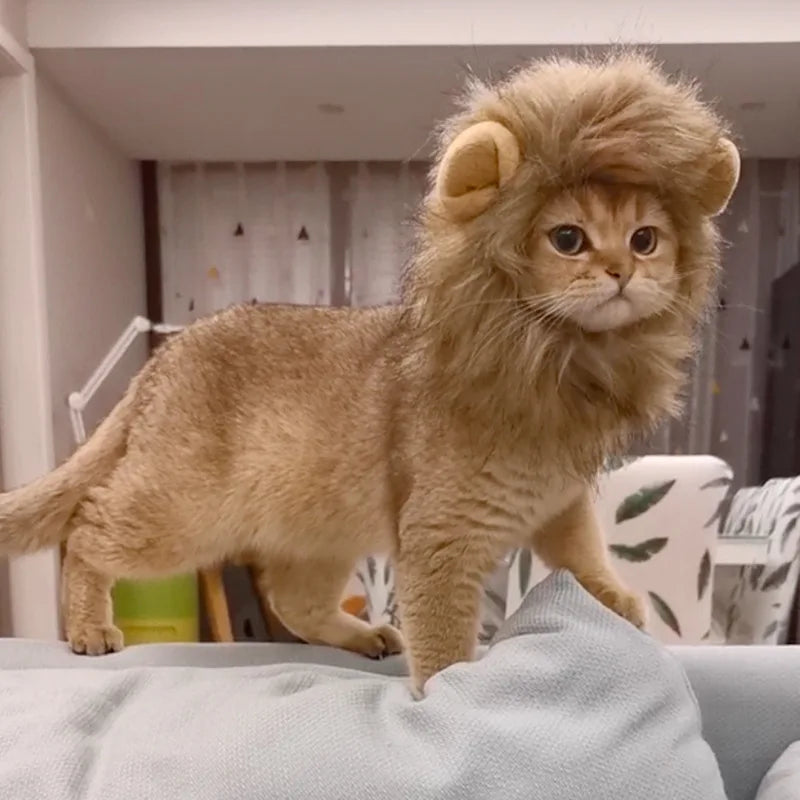 Schattige hoed met leeuwenmanen voor katten en kleine honden als leuk accessoire