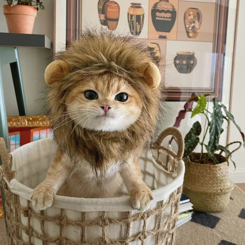 Schattige hoed met leeuwenmanen voor katten en kleine honden als leuk accessoire