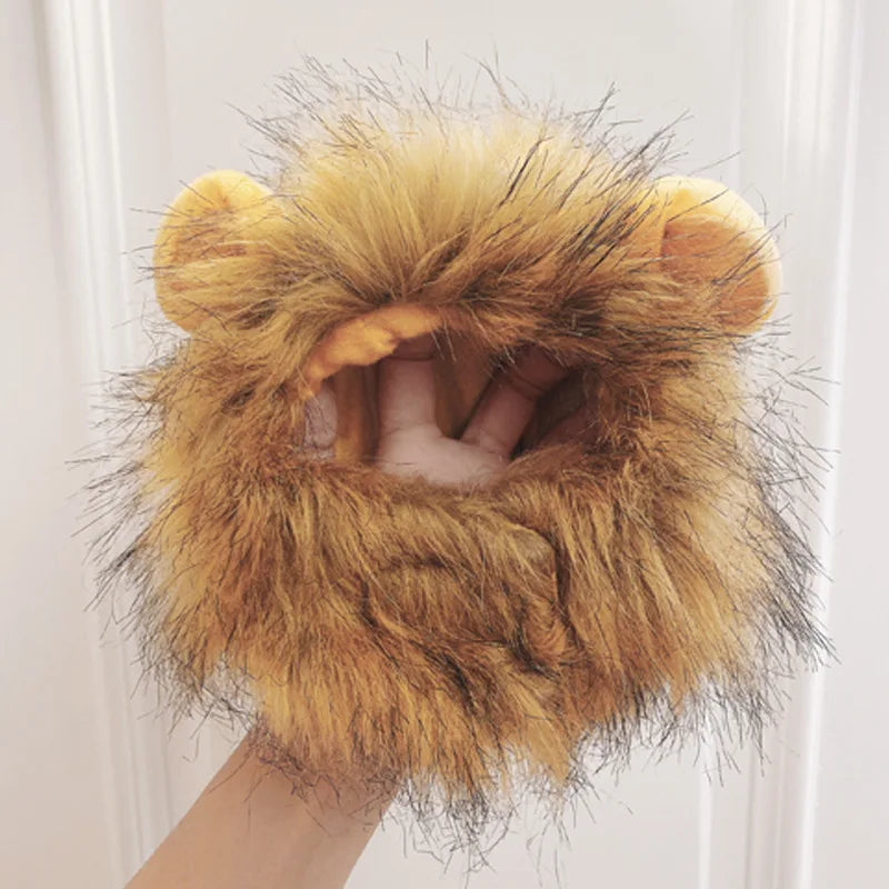 Schattige hoed met leeuwenmanen voor katten en kleine honden als leuk accessoire