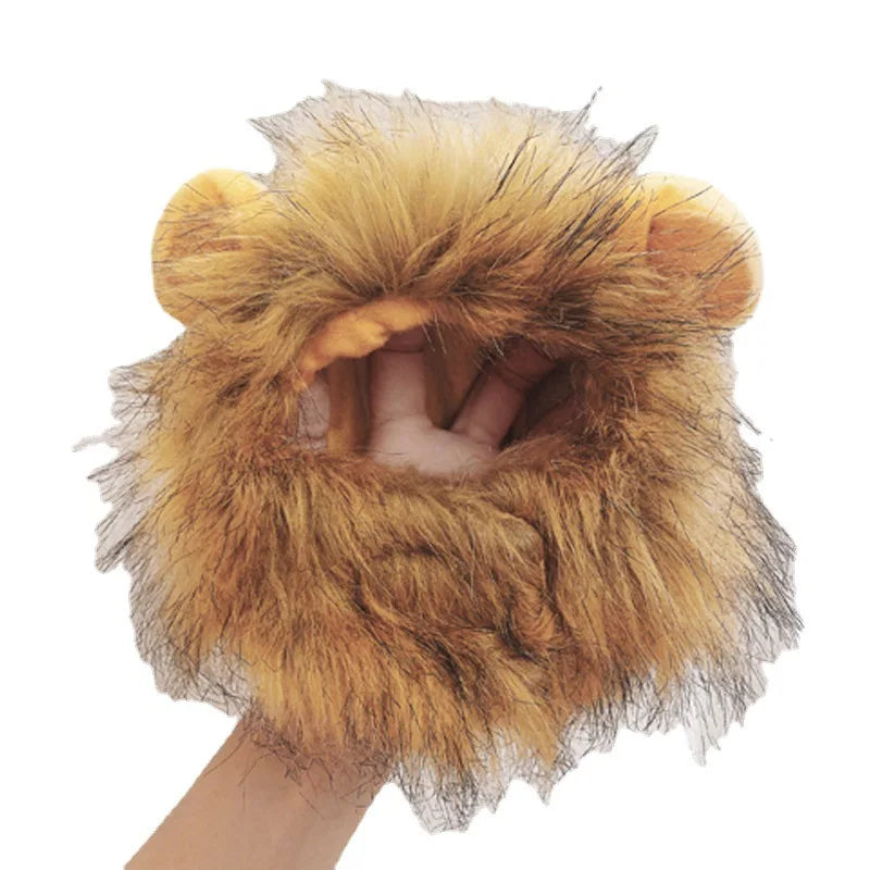 Schattige hoed met leeuwenmanen voor katten en kleine honden als leuk accessoire
