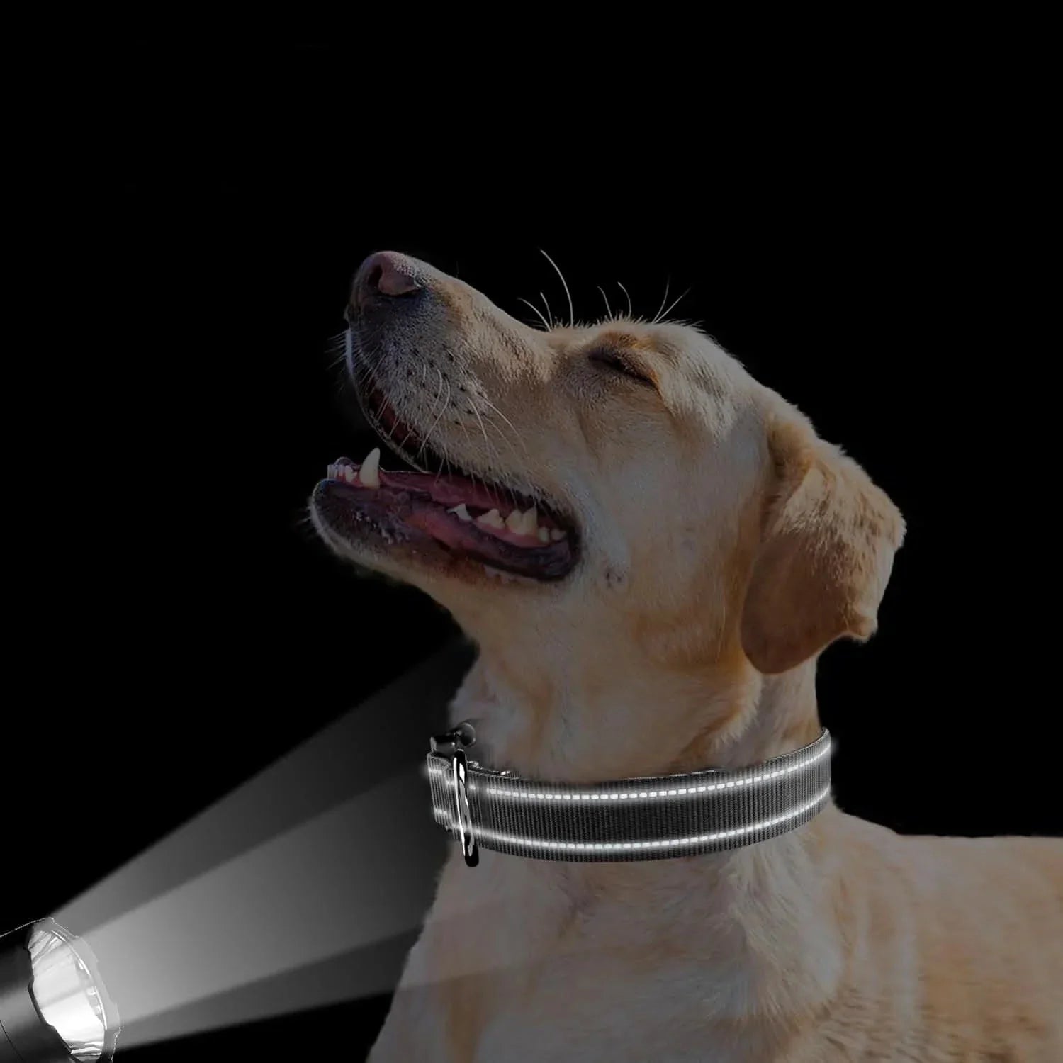 Reflecterende halsband met geïntegreerde AirTag houder voor veiligheid van huisdieren