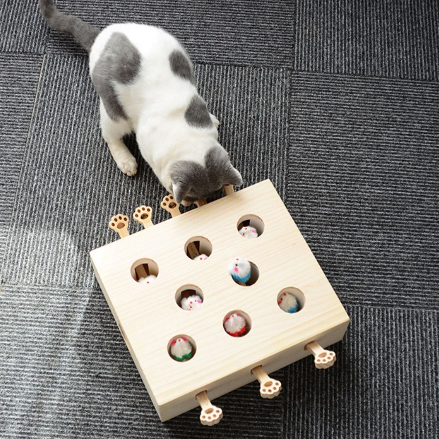 Houten spel voor katten om mollen te slaan als uitdaging