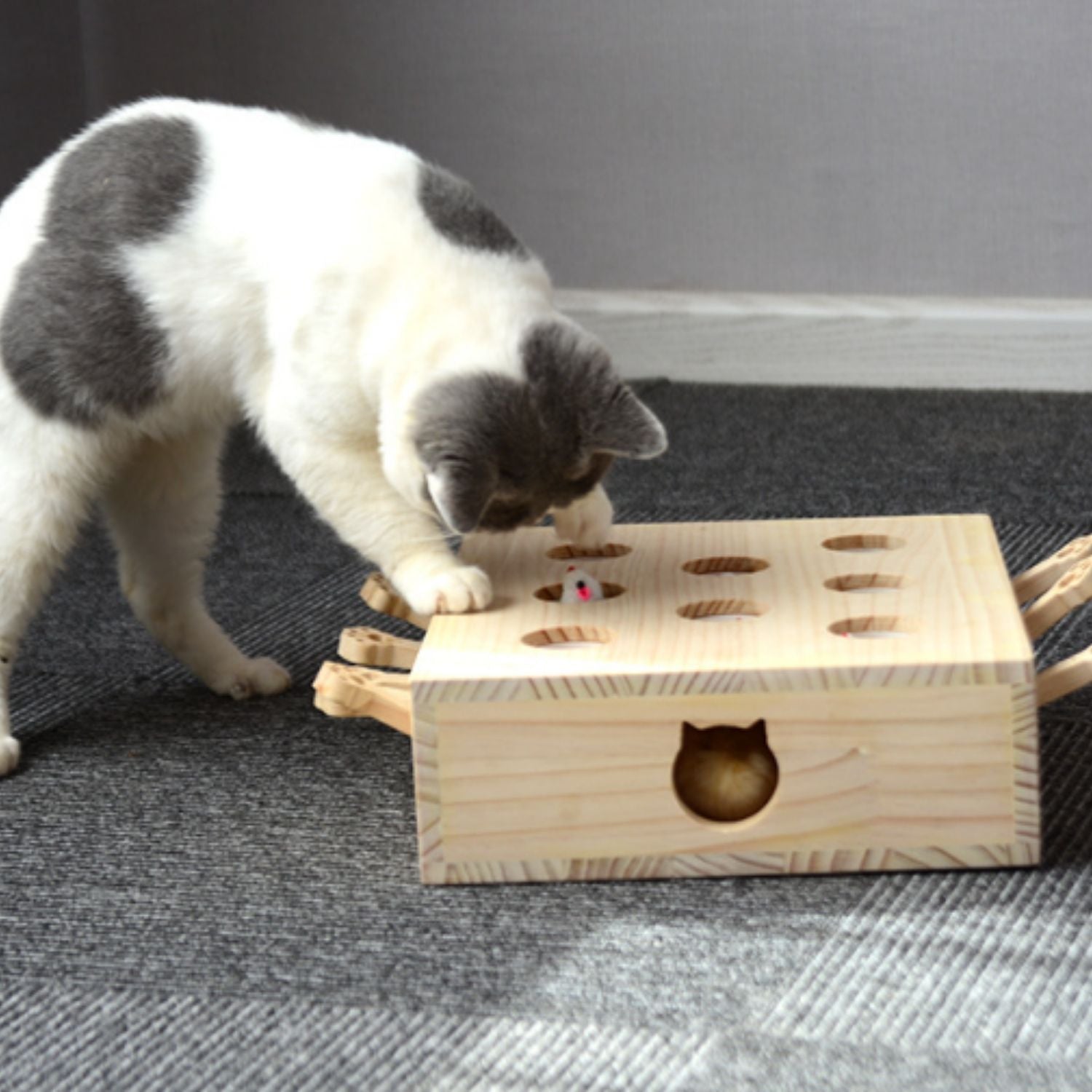 Houten spel voor katten om mollen te slaan als uitdaging