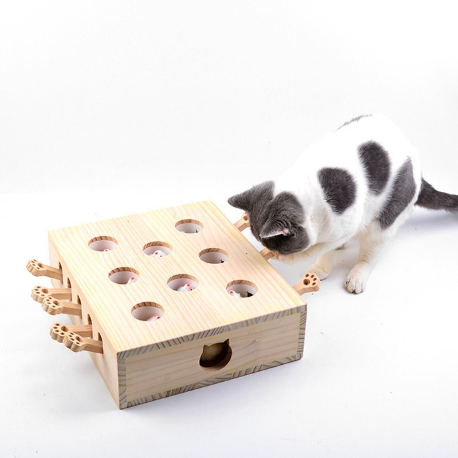 Houten spel voor katten om mollen te slaan als uitdaging