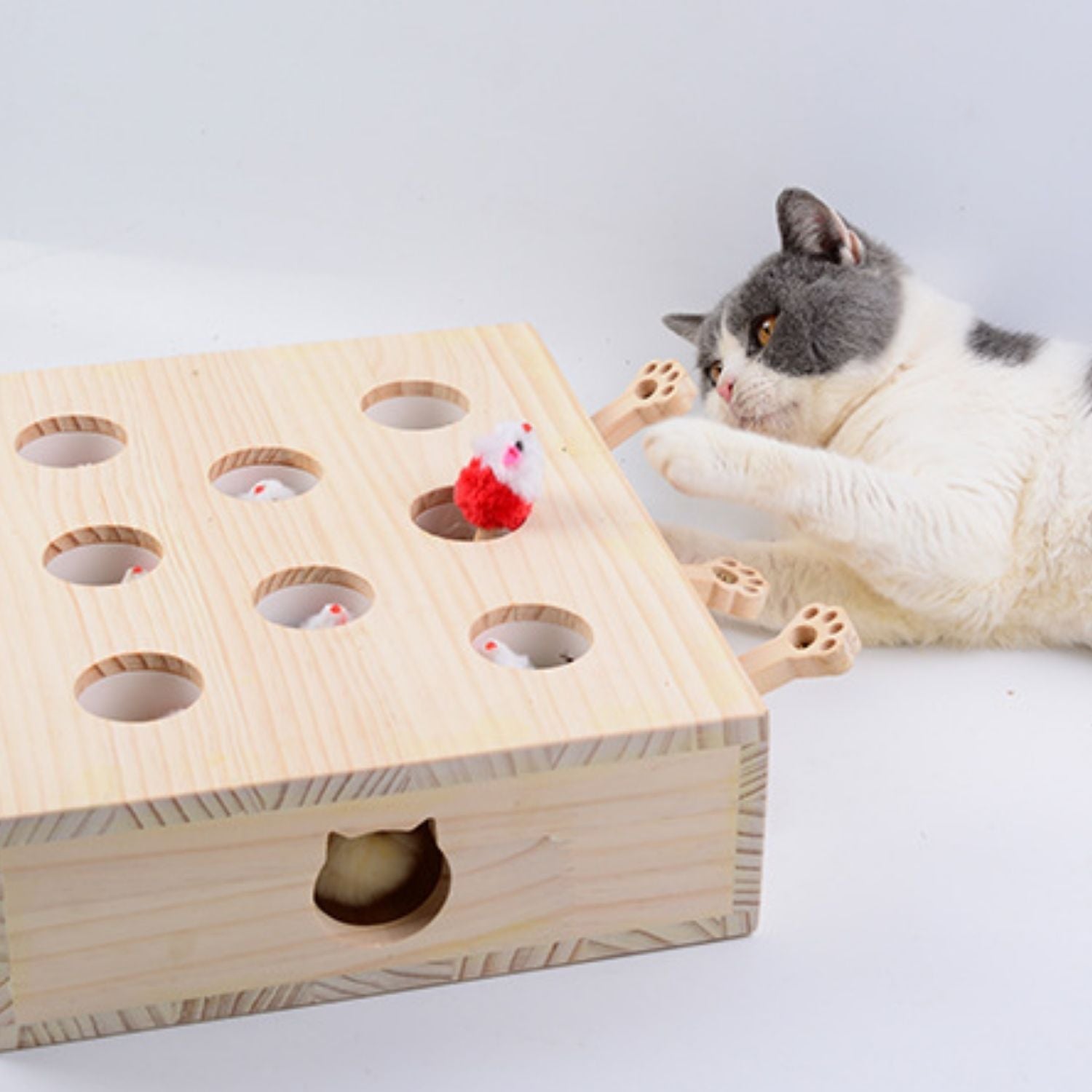 Houten spel voor katten om mollen te slaan als uitdaging