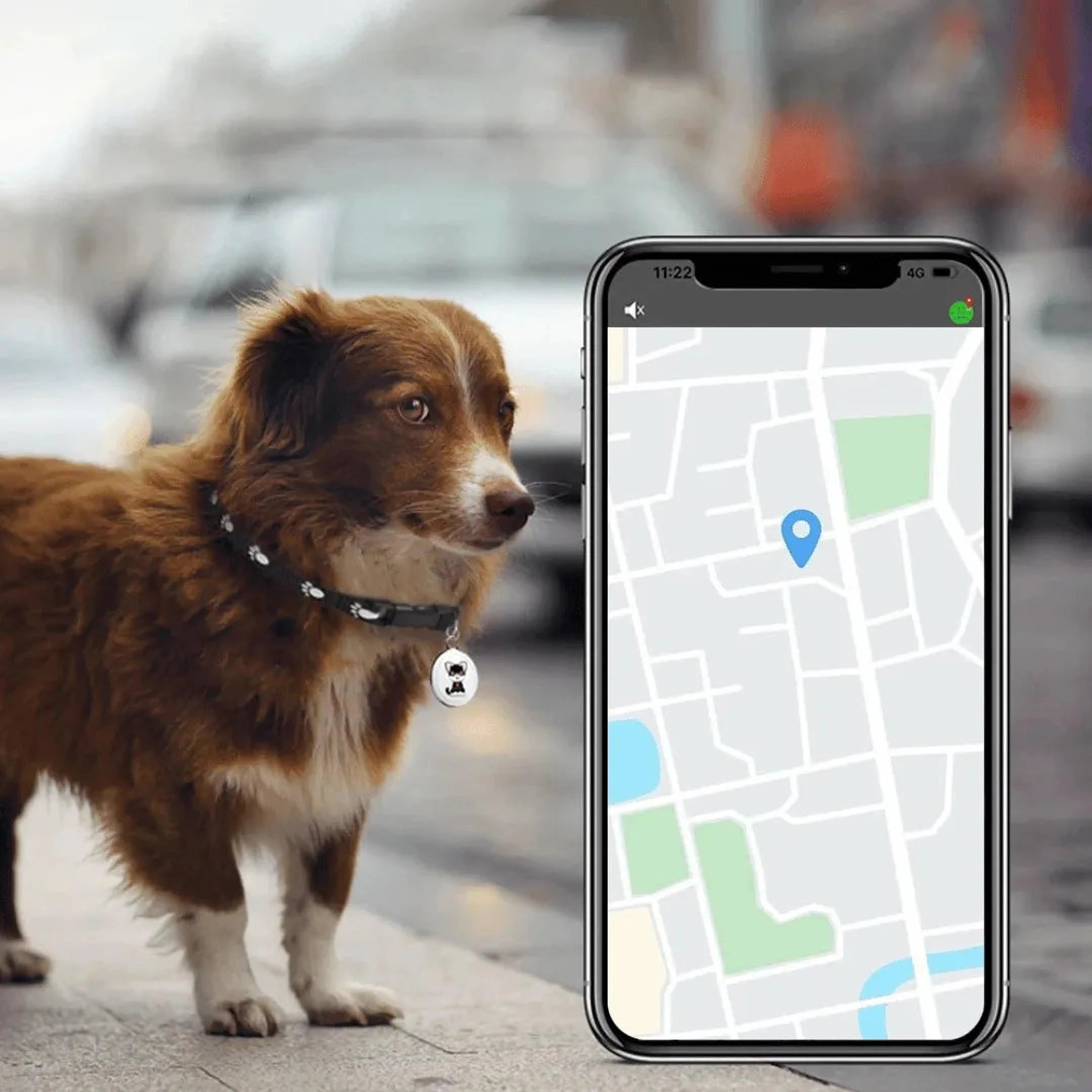PawPositie Watcher | GPS Tracker voor Honden en Katten