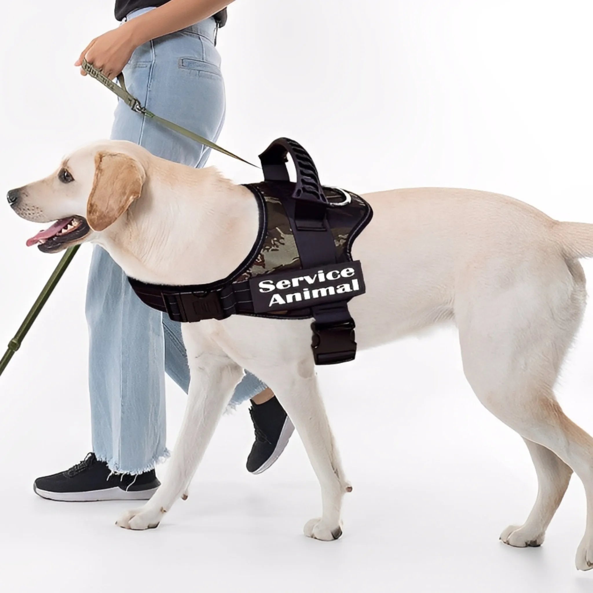 PawsID Tag | Gepersonaliseerd Klittenband Hondentag voor Veiligheid
