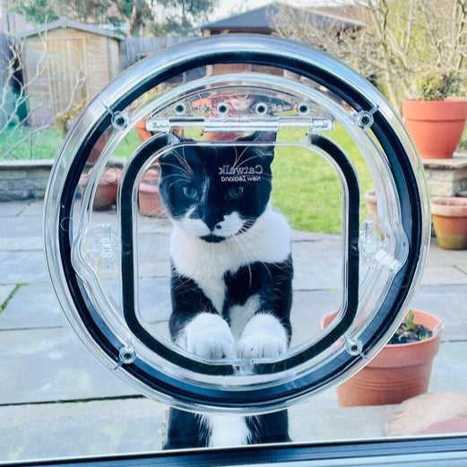 Kattenpoort voor vrije toegang en veiligheid van uw kat
