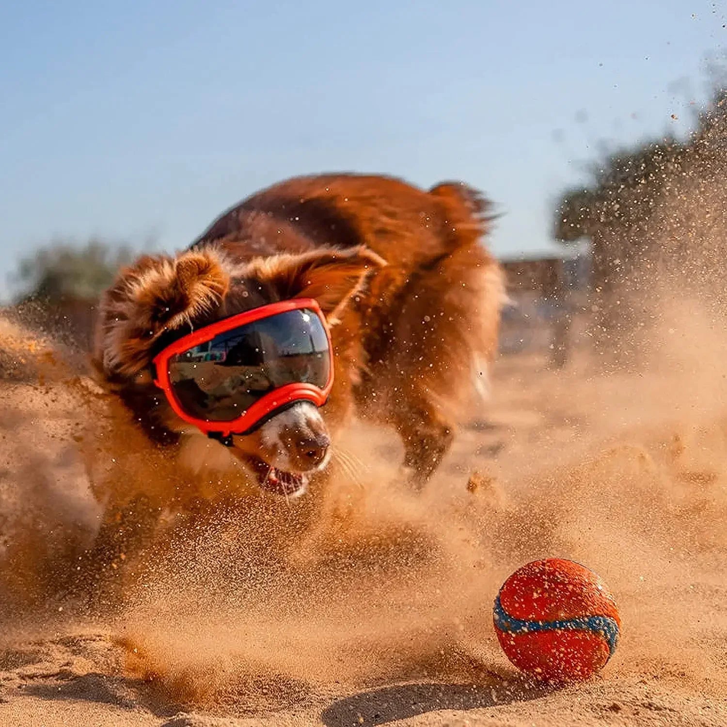UV-beschermende zonnebril voor honden, verstelbaar en ademend, geschikt voor grote rassen