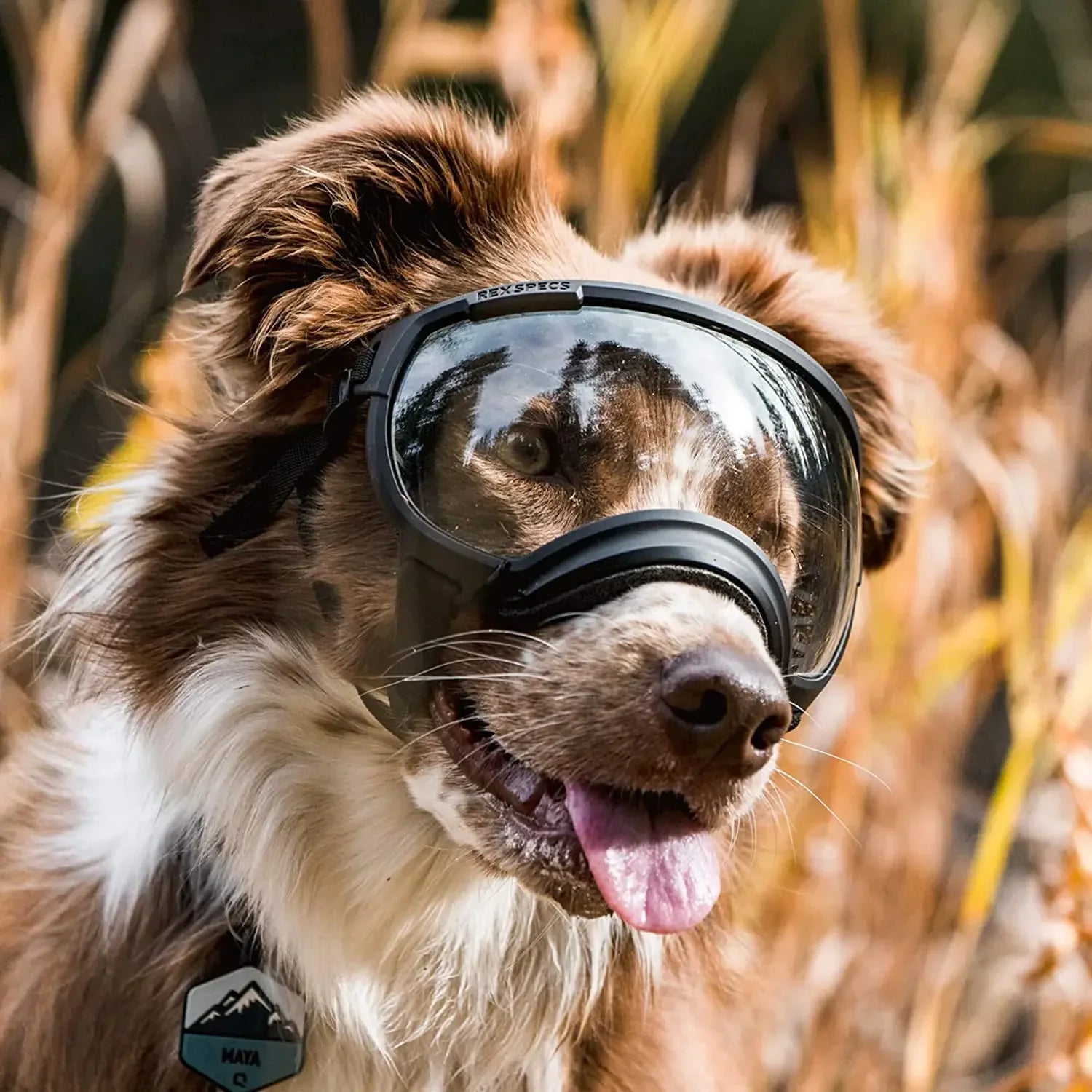 UV-beschermende zonnebril voor honden, verstelbaar en ademend, geschikt voor grote rassen