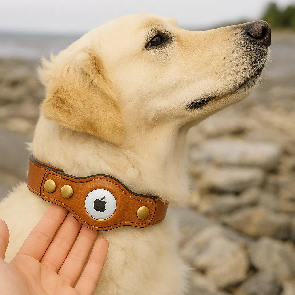 AirTag halsband voor honden voor extra veiligheid tijdens wandelingen