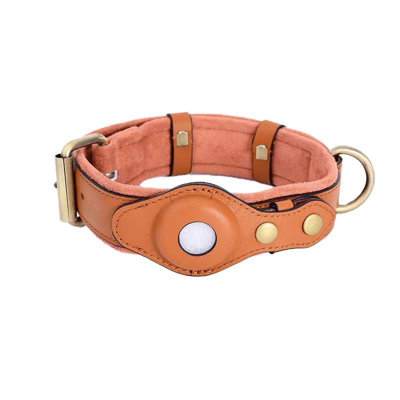 AirTag halsband voor honden voor extra veiligheid tijdens wandelingen