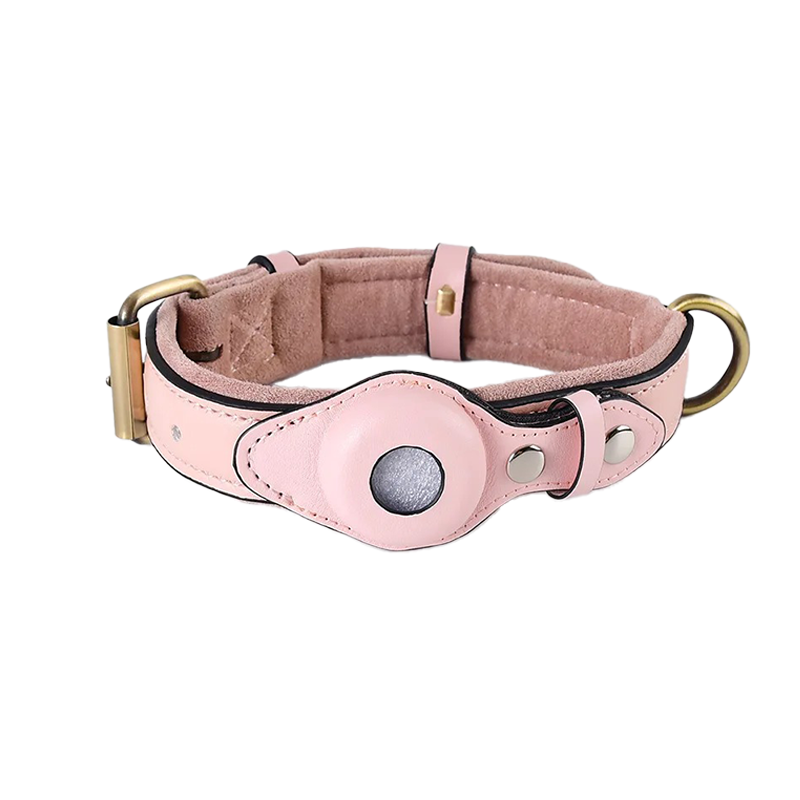 AirTag halsband voor honden voor extra veiligheid tijdens wandelingen