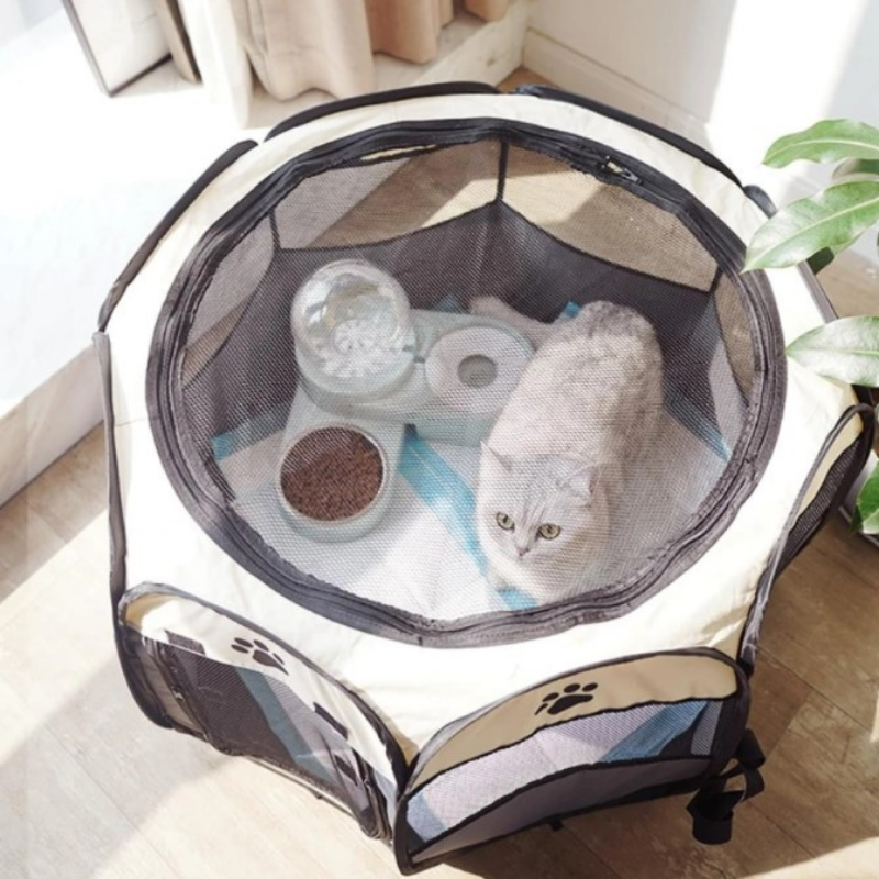 Draagbare dome voor katten, ideaal voor ontspanning en vrije tijd.