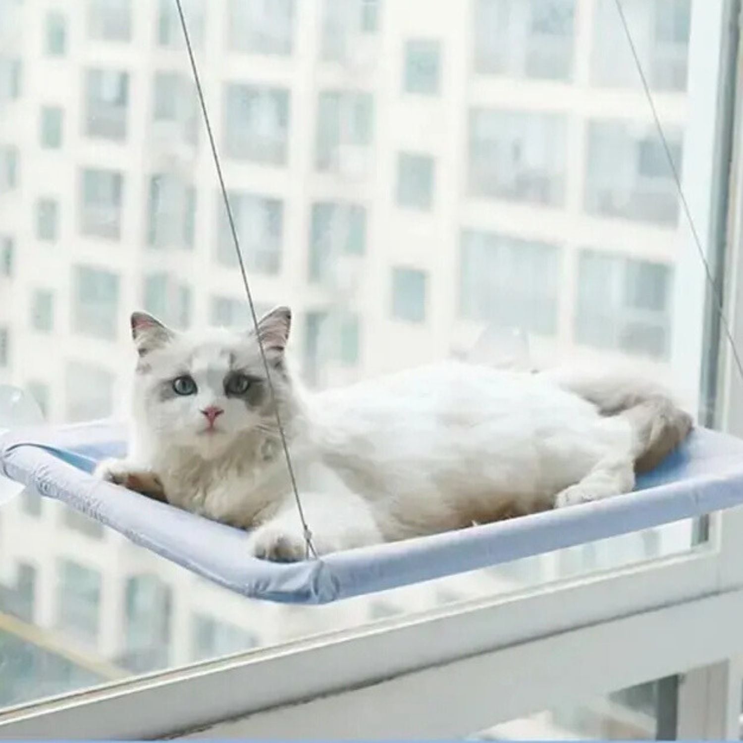 Kattenhangmat met zuignap voor bevestiging aan het raam voor kattencomfort