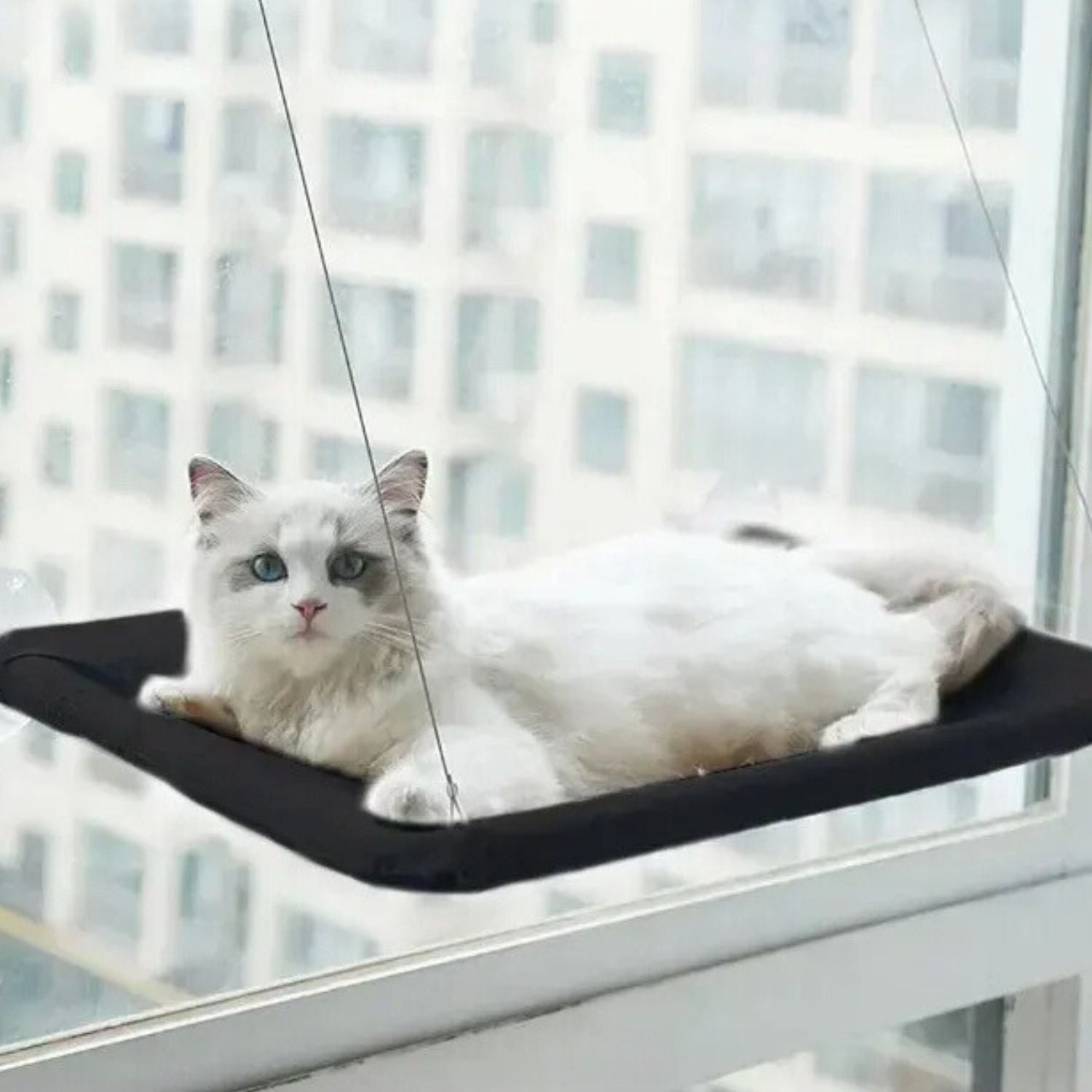 Kattenhangmat met zuignap voor bevestiging aan het raam voor kattencomfort