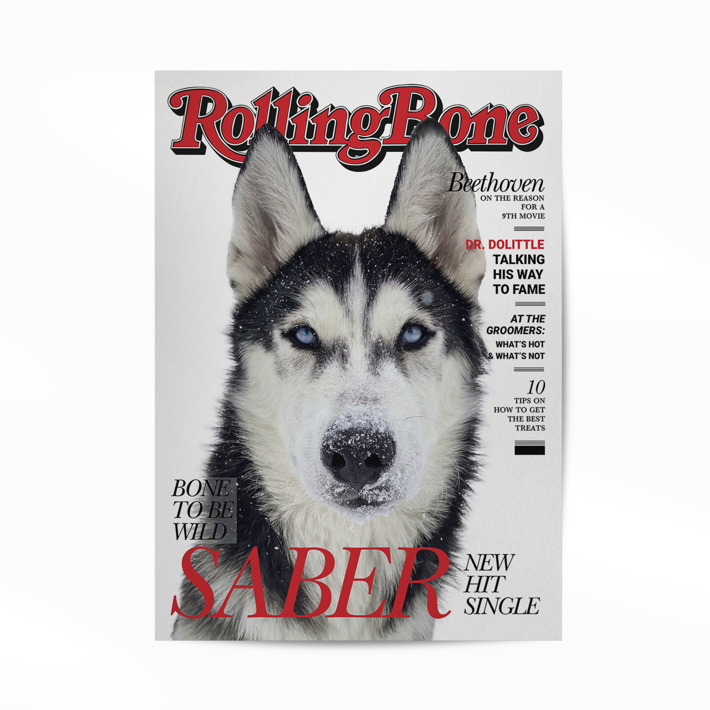 PetMuse | Gepersonaliseerd dierenportret met liefde