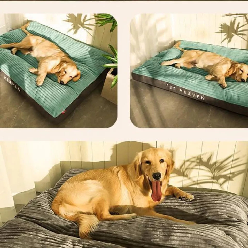 PawRest | Orthopedisch hondenkussen voor gewrichtsondersteuning en diepe rust