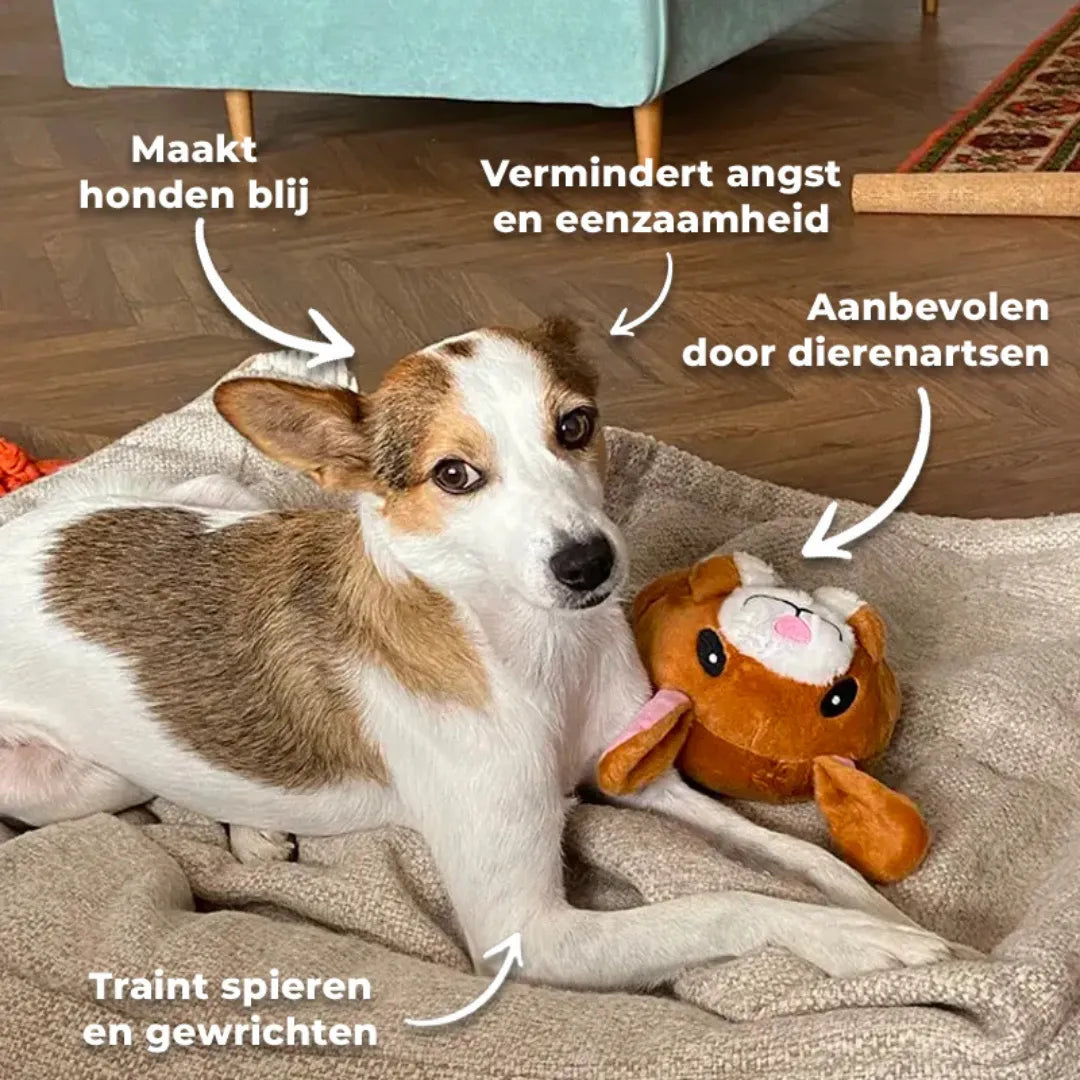 SpringSnoepje Bal | Interactief Hondenspeelgoed voor Actieve Speeltijd