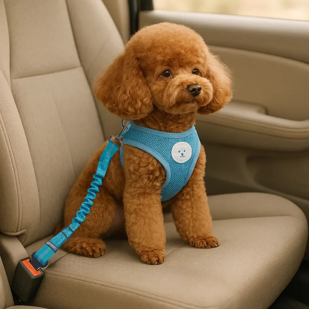Auto veiligheidsriem voor honden voor veilige autoritjes