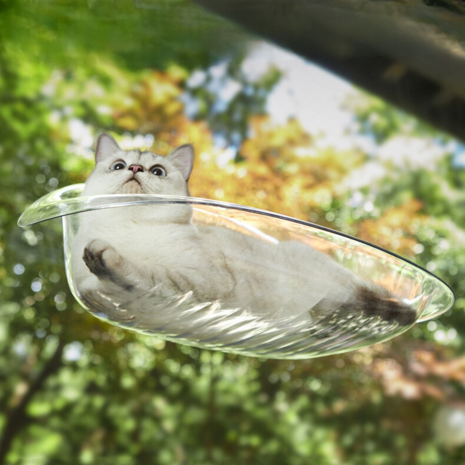 Kattenraamhanger met zuignappen voor ultiem relaxen voor katten