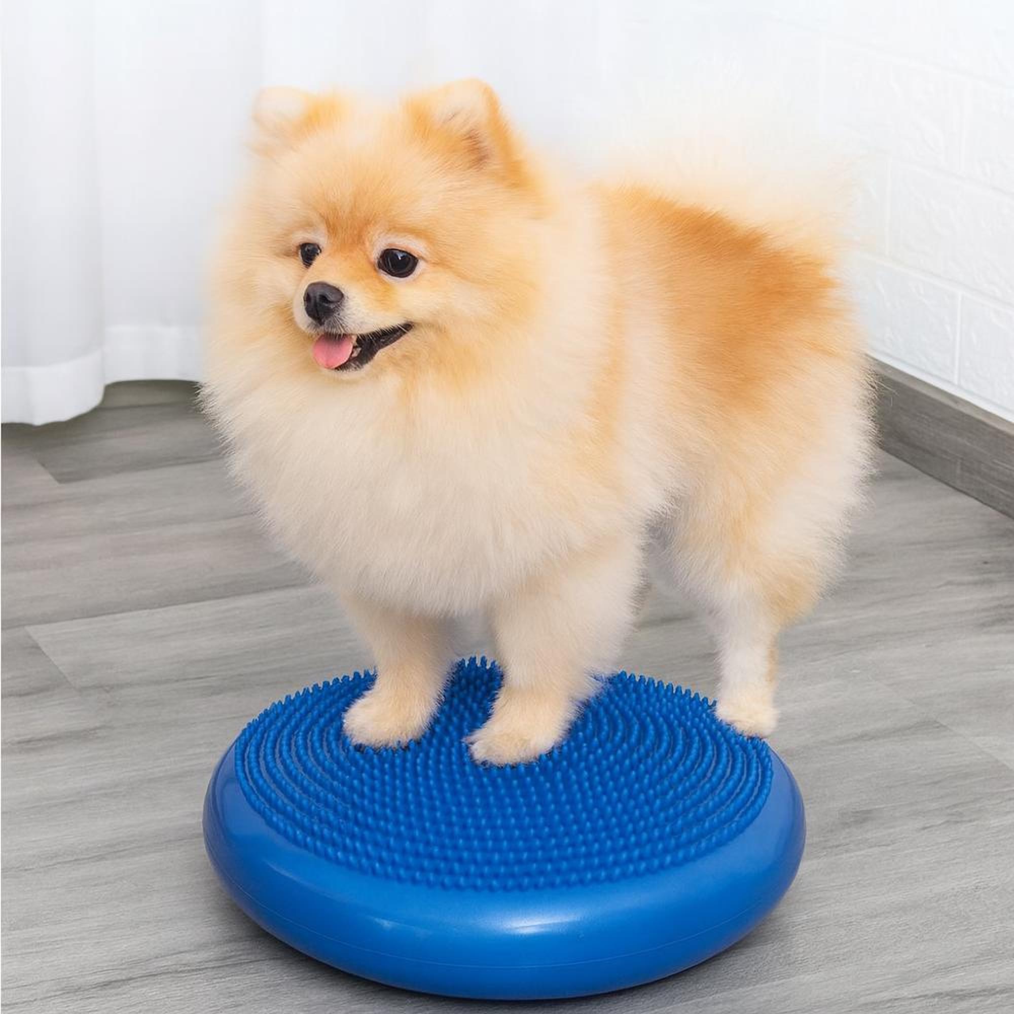 ZenPaws Kussen | Antislip Balanskussen voor Hondenyoga